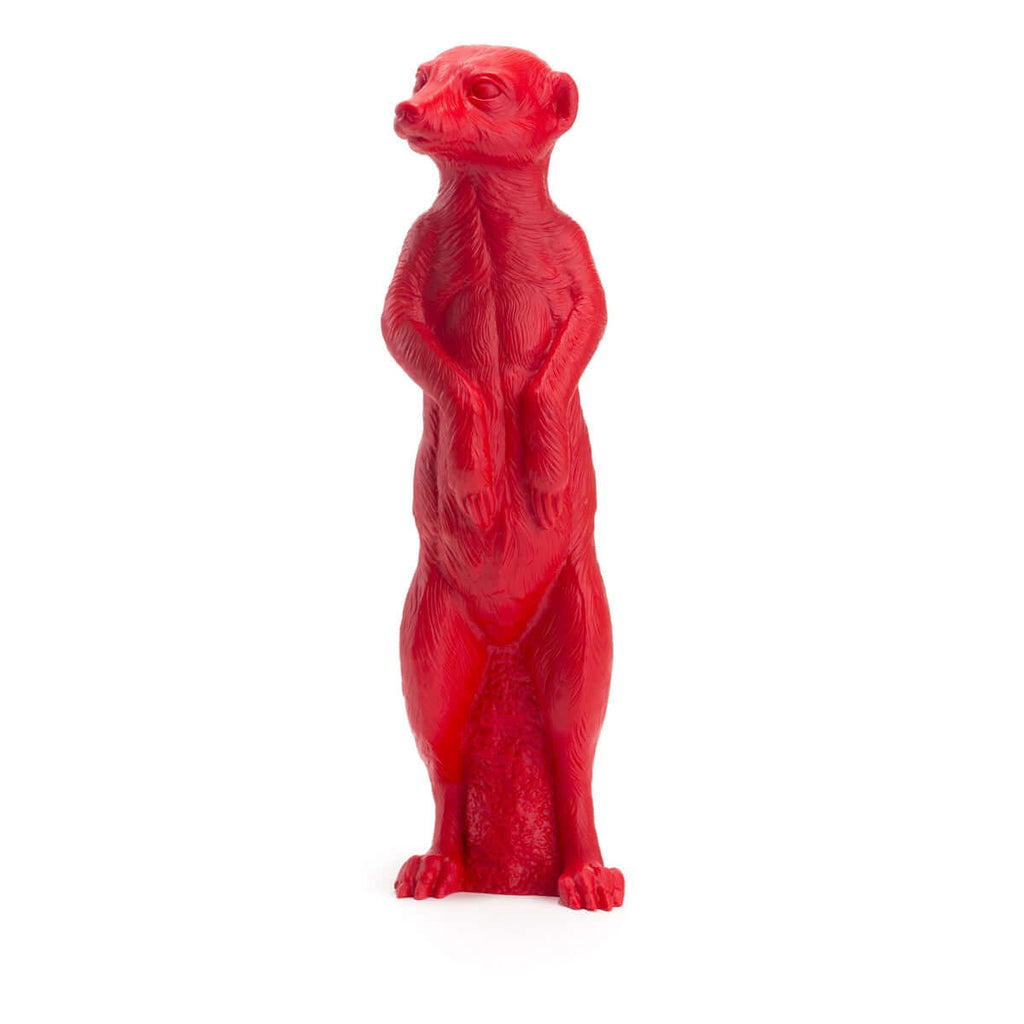 Suricate, 2009