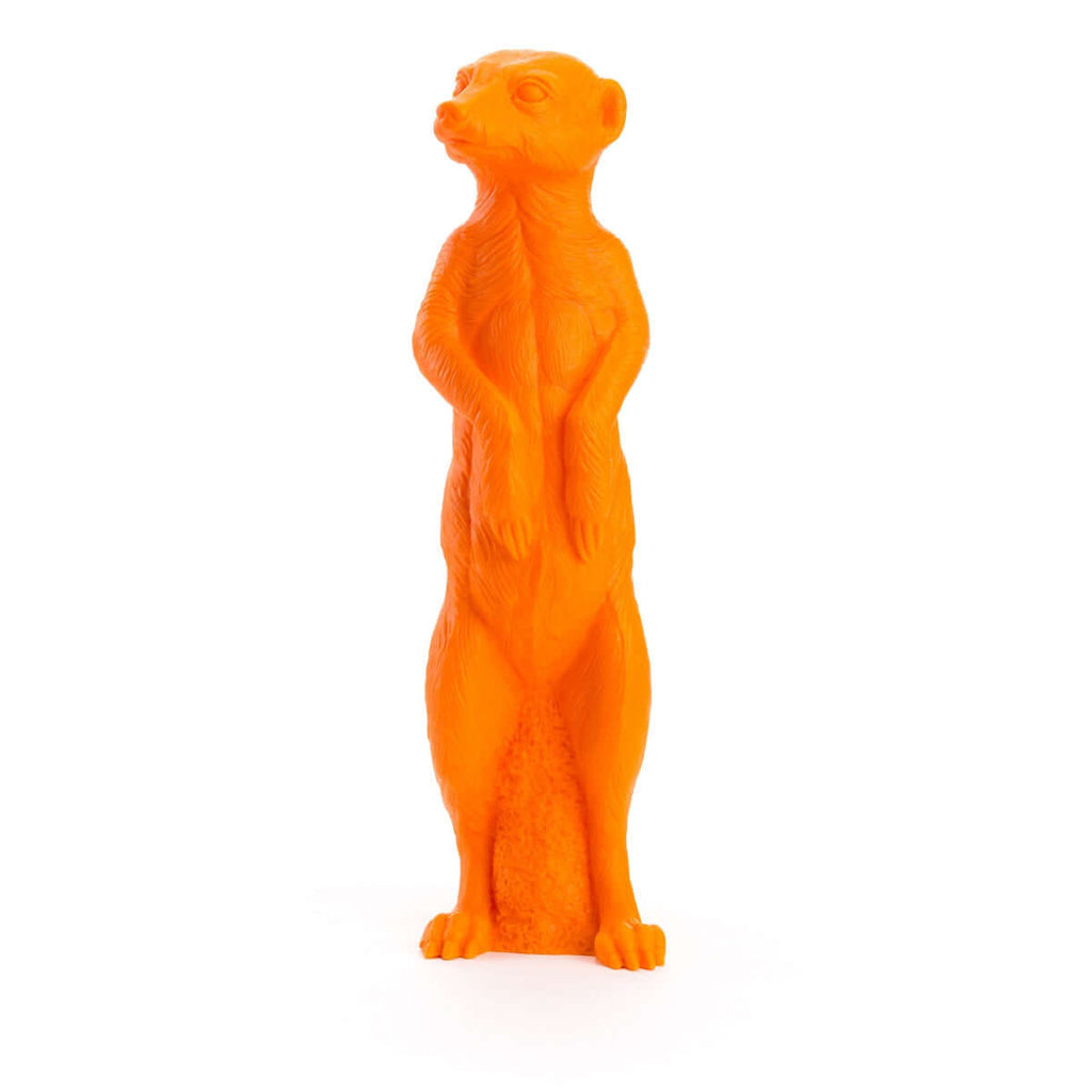 Suricate, 2009