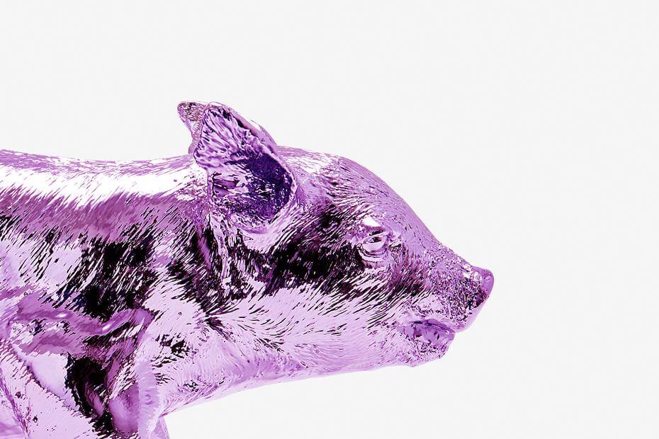 Reality Bank in the Form of a Pig