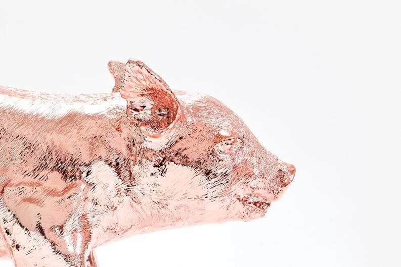 REALITY BANK IN THE FORM OF A PIG