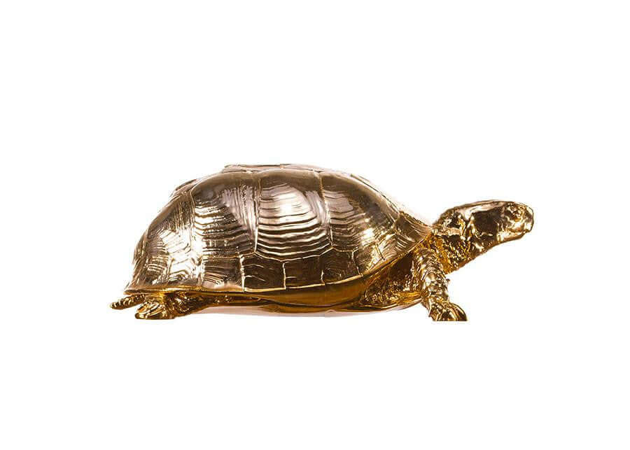 Reality Box Turtle Box