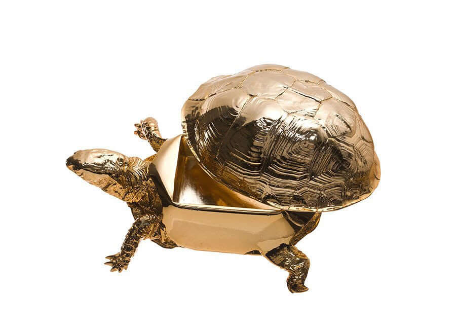 Reality Box Turtle Box