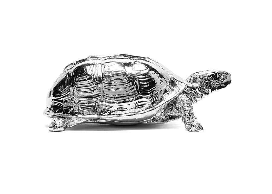 Reality Box Turtle Box