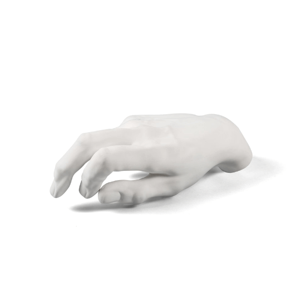 Memorabilia Museum Male Hand