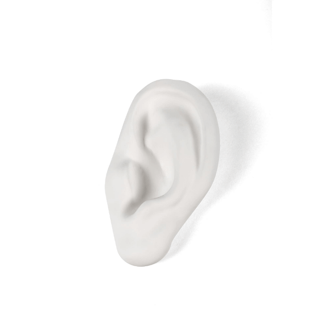 Memorabilia Mvsevm Ear