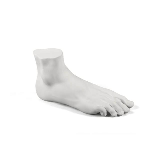 Memorabilia Mvsevm Male Foot