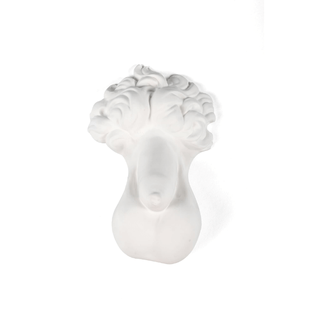 Memorabilia Mvsevm Penis