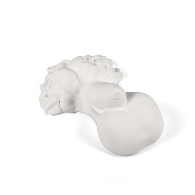 Memorabilia Mvsevm Penis