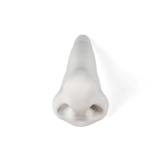 Memorabilia Mvsevm Nose