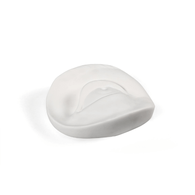 Memorabilia Mvsevm Eye