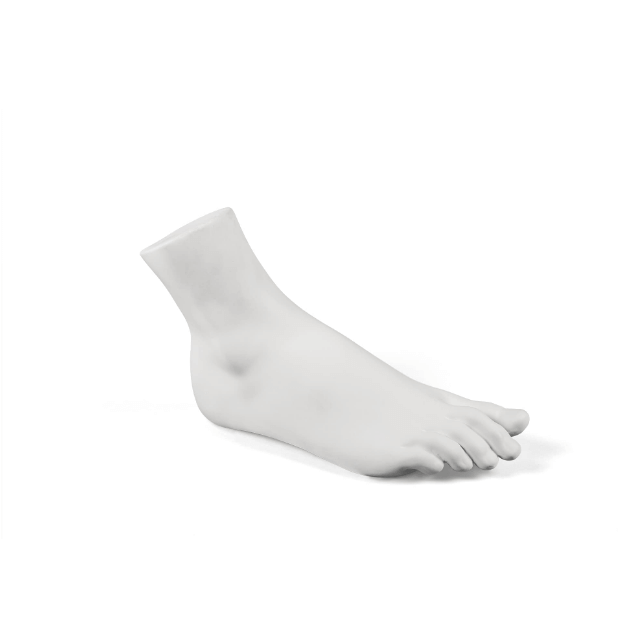 Memorabilia Mvsevm Female Foot