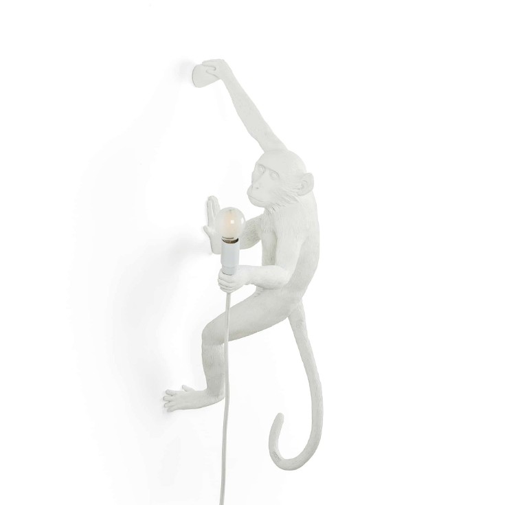 Wall Hanging Monkey Lamp Right Version