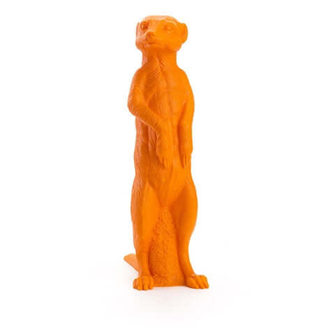 Suricate, 2009