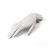 Memorabilia Mvsevm Female Hand