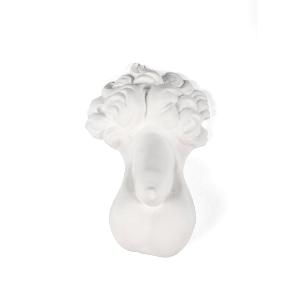 Memorabilia Mvsevm  Penis