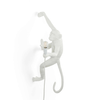 Wall Hanging Monkey Lamp Right Version