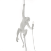 Ceiling Monkey Lamp