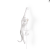 Wall Hanging Monkey Lamp OUTDOOR Version White Left