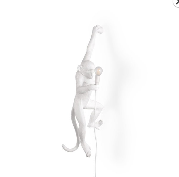 Wall Hanging Monkey Lamp Left Version