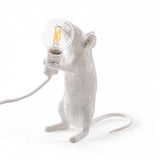 Mouse Lamp Step